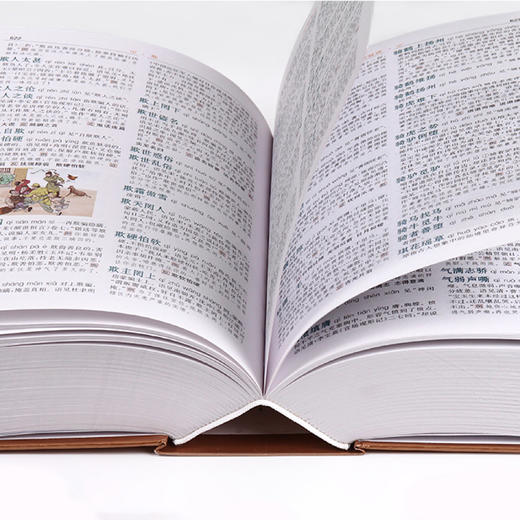 《彩图版成语大词典》 商品图4