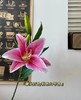 【仿真花】单头布百合 商品缩略图8