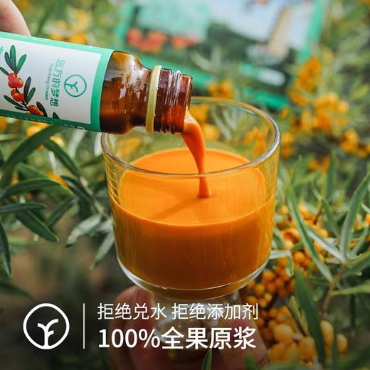 【泰安读者包邮】SGS权威检测机构4次复检308项农残0检出 内蒙原始主义 有机沙棘全果原浆 保留沙棘本真 每日一支补充所需维生素C 商品图1