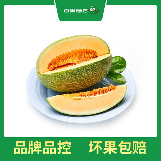 PAGODA百果园 沙漠蜜瓜2粒礼盒装（净重3.5-3.75kg，单果重≥1.75kg） 商品图1