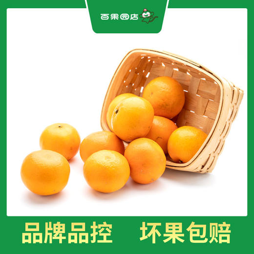 PAGODA百果园  A级-沃柑（大）5斤彩箱装 商品图2