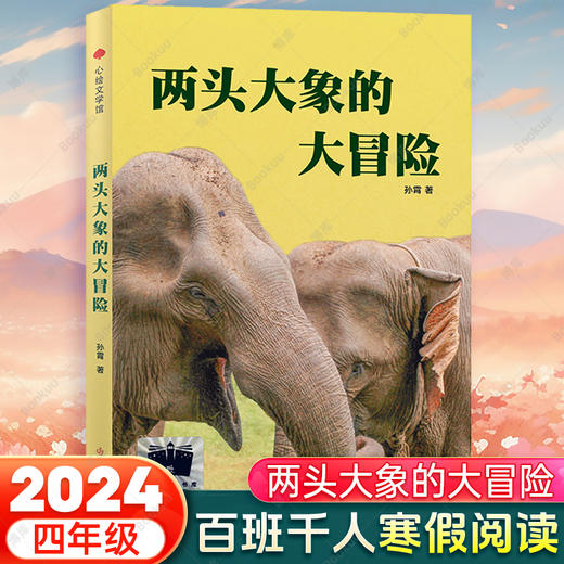 两头大象的大冒险 寒假百班千人儿童文学读物寒假 商品图1