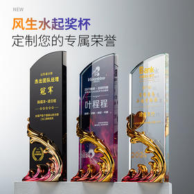 定制水晶奖杯风生水起荣誉奖牌黑色大气团队奖励优秀员工刻字订制 · 弧形雕刻+树脂