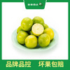 PAGODA百果园  塔希提无籽香水柠檬2斤装 商品缩略图4