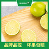 PAGODA百果园  塔希提无籽香水柠檬2斤装 商品缩略图1