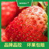 PAGODA百果园  A级-红宝玉草莓（超大）2 斤彩箱装 商品缩略图1