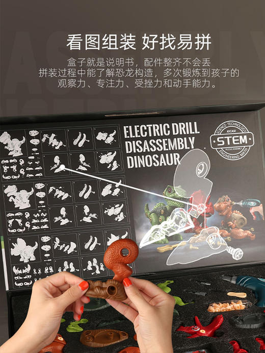 【凯卡西】拆装恐龙礼盒 商品图4