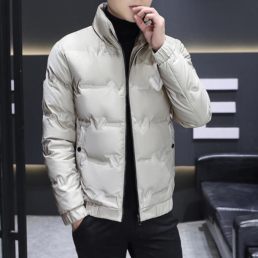 ALBB-国标羽绒服男式冬季新款高端白鸭绒外套 商品图1