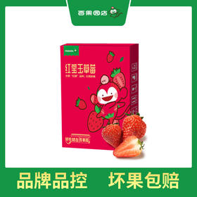 PAGODA百果园  A级-红宝玉草莓（超大）2 斤礼盒装