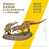 PNSO永川龙大勇与重庆龙小北恐龙博物馆1比35科学艺术模型 商品缩略图2