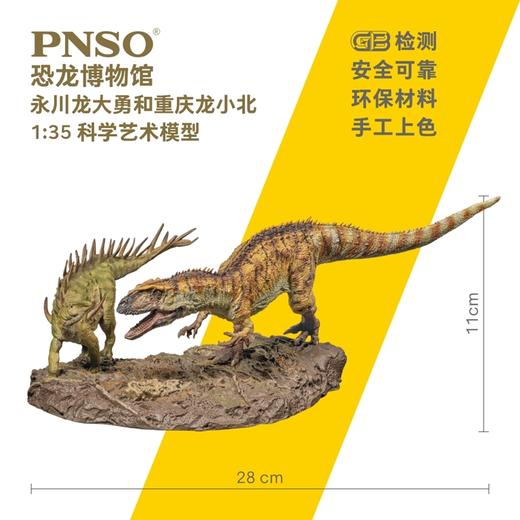 PNSO永川龙大勇与重庆龙小北恐龙博物馆1比35科学艺术模型 商品图2