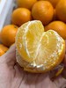皇帝贡柑 ，当天树上现摘！纯天然，无打农药！福利！（偏远地区不发货） 商品缩略图11