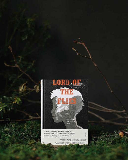 蝇王 布面精装 商品图3