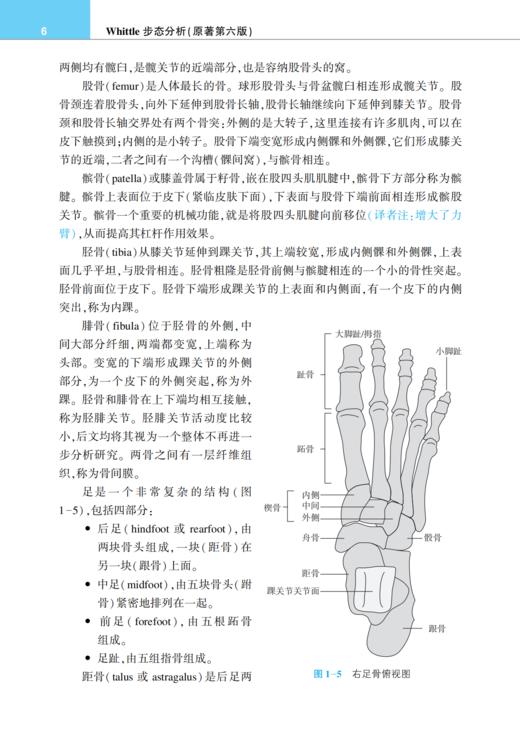 Whittle步态分析（原著第六版） 商品图8