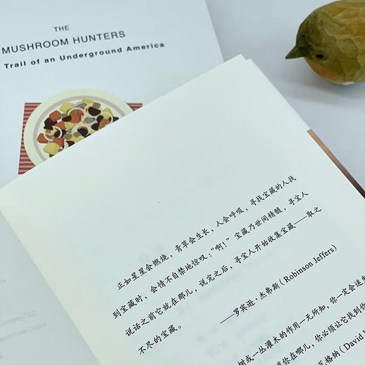 蘑菇猎人：北美野生蘑菇的地下世界（自然文库） [美]兰登·库克 著 周彬 译 商务印书馆 商品图3