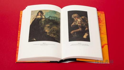 Francisco de Goya and the Art of Critique / 弗朗西斯科·德·戈雅和批判的艺术 商品图4