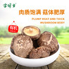 有机香菇雪博士小兴安岭200g/袋【京东快递送货上门】 商品缩略图2