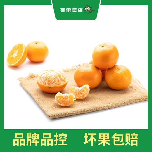 PAGODA百果园  A级-沃柑（大）5斤彩箱装 商品图4