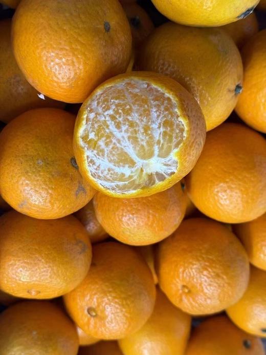 皇帝贡柑 ，当天树上现摘！纯天然，无打农药！福利！（偏远地区不发货） 商品图10