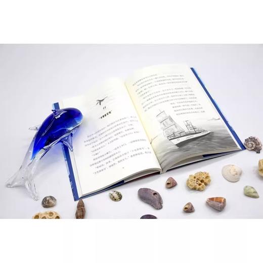 【书香卡专区】魔法象 乘风破浪的朋友 (意)达莉娅·贝尔托尼/著 商品图3