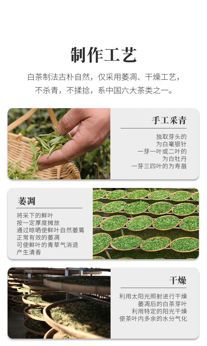 【春节活动 限时特惠】2023年白毫银针 福鼎白茶 5克*9泡/套 礼盒装