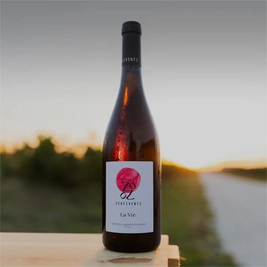 顽皮顽皮人生干型微起泡红葡萄酒 2022 Ventiventi La Vie Lambrusco Rosso Modena DOC 商品图0