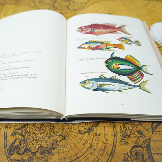 海物奇谈 路易·勒纳尔 著 科普读物 商品图1