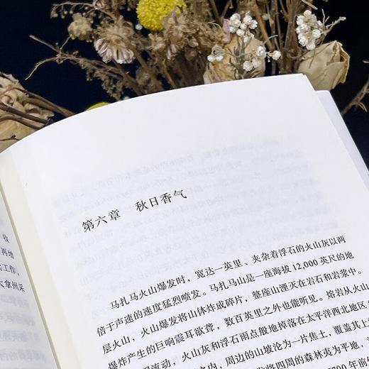 蘑菇猎人：北美野生蘑菇的地下世界（自然文库） [美]兰登·库克 著 周彬 译 商务印书馆 商品图1