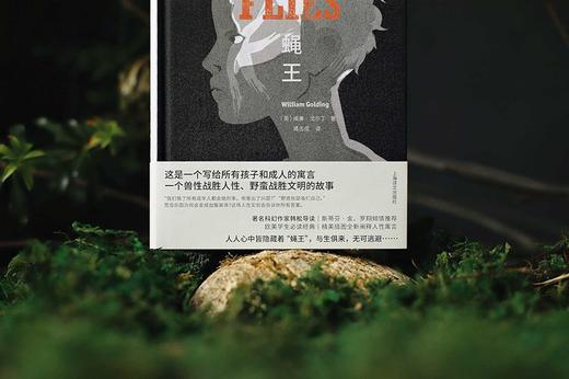 蝇王 布面精装 商品图4