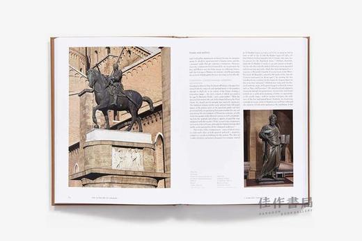 The Culture of Bronze: Making and Meaning in Italian Renaissance / 青铜文化：意大利文艺复兴时期雕塑的制作与意义 商品图4