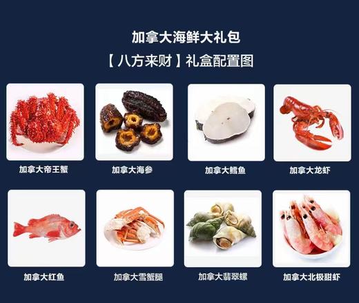 2025年 新上市年末海鲜礼盒生鲜大礼包，加拿大主题海鲜礼盒定义者~~ 商品图9