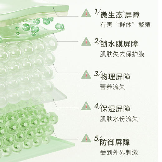 自然之名 叶绿素面霜50g 保湿护肤品男女 心选到家 商品图2