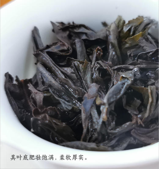 武夷正岩 金奖名枞茶 50克 花香岩韵显 有山场气 商品图4