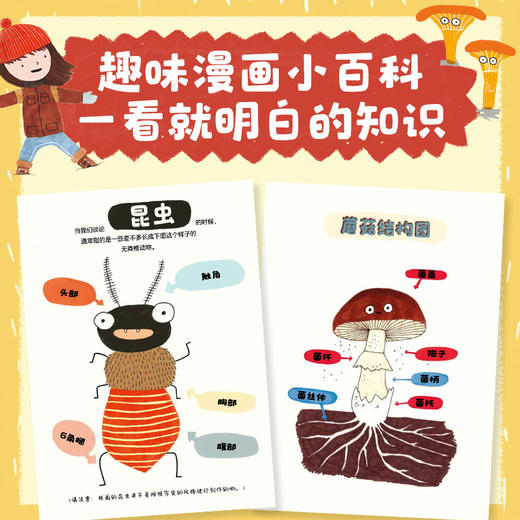 爆笑昆虫记：笑不停的博物小百科 商品图2