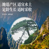 【正宗同仁堂品牌】北京同仁堂 有机茯苓150克（10g*15包） 严选有机  自然洁净 块块均匀 中心丁 自然米白  粉性十足 SY 商品缩略图4