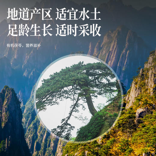 【正宗同仁堂品牌】北京同仁堂 有机茯苓150克（10g*15包） 严选有机  自然洁净 块块均匀 中心丁 自然米白  粉性十足 SY 商品图4