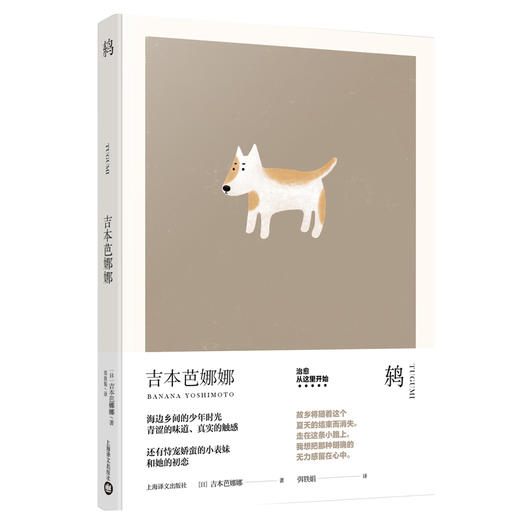 鸫(吉本芭娜娜作品系列) 商品图0