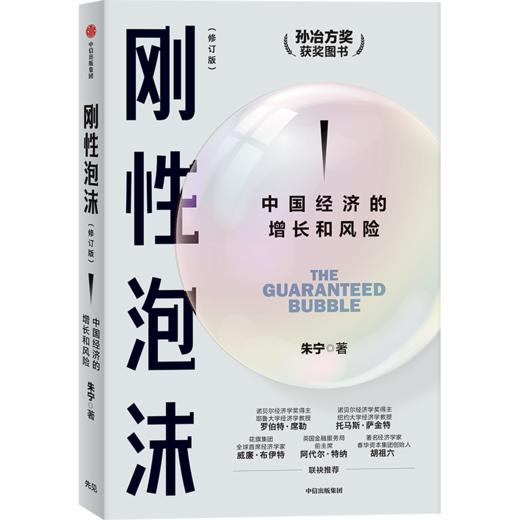 中信出版| 刚性泡沫 朱宁 著 孙冶方奖获奖图书 商品图0