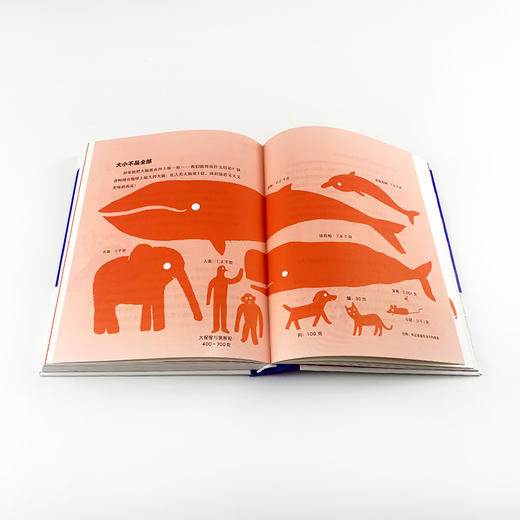 到里面来！探索大脑的内部世界 商品图2