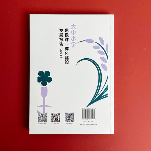 大中小学思政课一体化建设发展报告 2023 商品图2