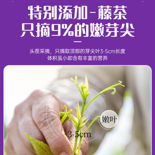 【2盒立减30】紫葵原花青素代用茶 内蒙赤峰紫葵 不含茶碱&咖啡因 低果糖 21袋/盒 商品图4