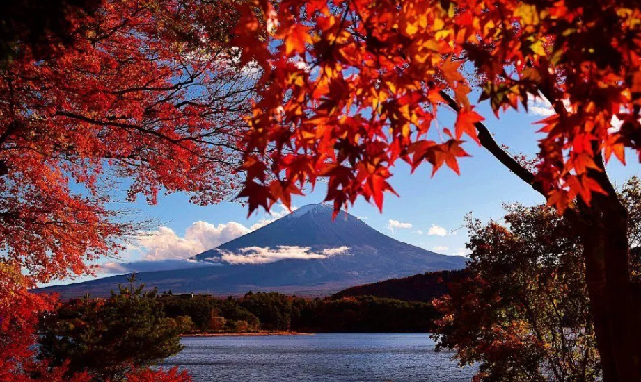 富士山 + 御殿场奥特莱斯 2 小时以上的自由活动时间【需二次确认】B-0186