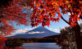 富士山 + 御殿场奥特莱斯 2 小时以上的自由活动时间【需二次确认】B-0186