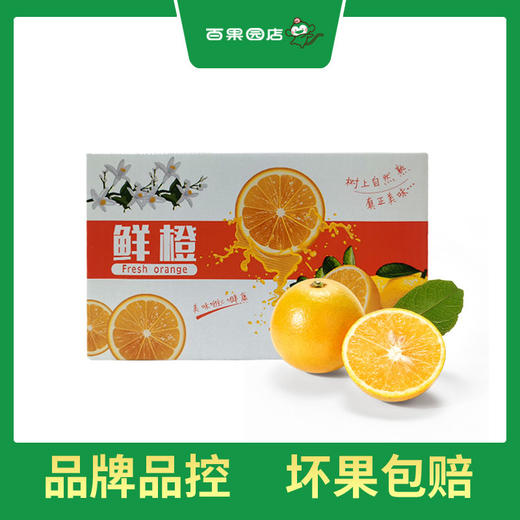 PAGODA百果园  A级-麻阳冰糖橙（中）5斤彩箱装 商品图0