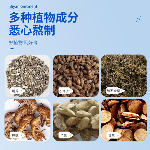 【畅通呼吸】香港仲景国医研究院通鼻膏 濞炎膏鼻痒鼻塞鼻子不通膏鼻舒膏 商品图3