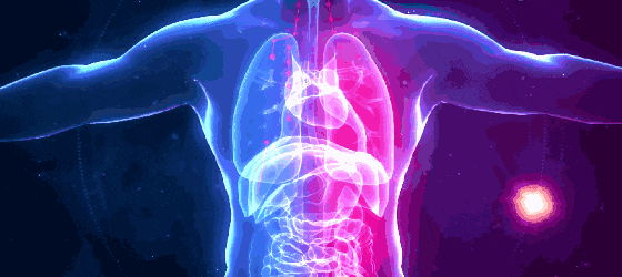 男性长寿秘诀公开，高质量睡眠仅排第9，排第一的居然是…