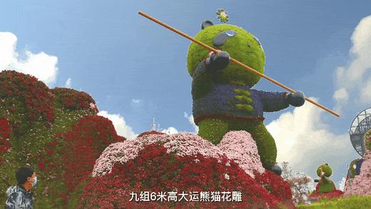 【龙泉驿欢乐田园·奇梦彩灯节】单人夜场特惠票¥39.9、双人夜场特惠票¥69.9，赏灯夜游、看演艺撸萌宠、玩30+游乐项目！ 商品图3