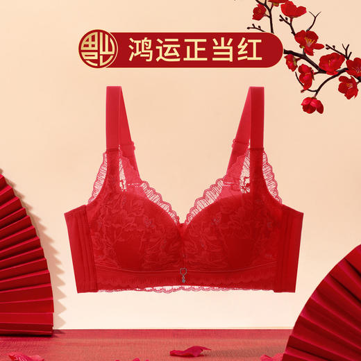 熳洁儿 本命年女士内衣新年小胸聚拢文胸浪漫蕾丝上薄下厚无钢圈聚拢舒适收副乳23761511 商品图0