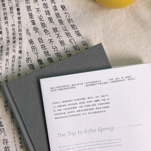 回声泉之旅：一场跨越北美的文学之旅，书写文人与酒的不解之缘 商品图5