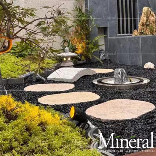 西班牙秋黄汀步 商品图0